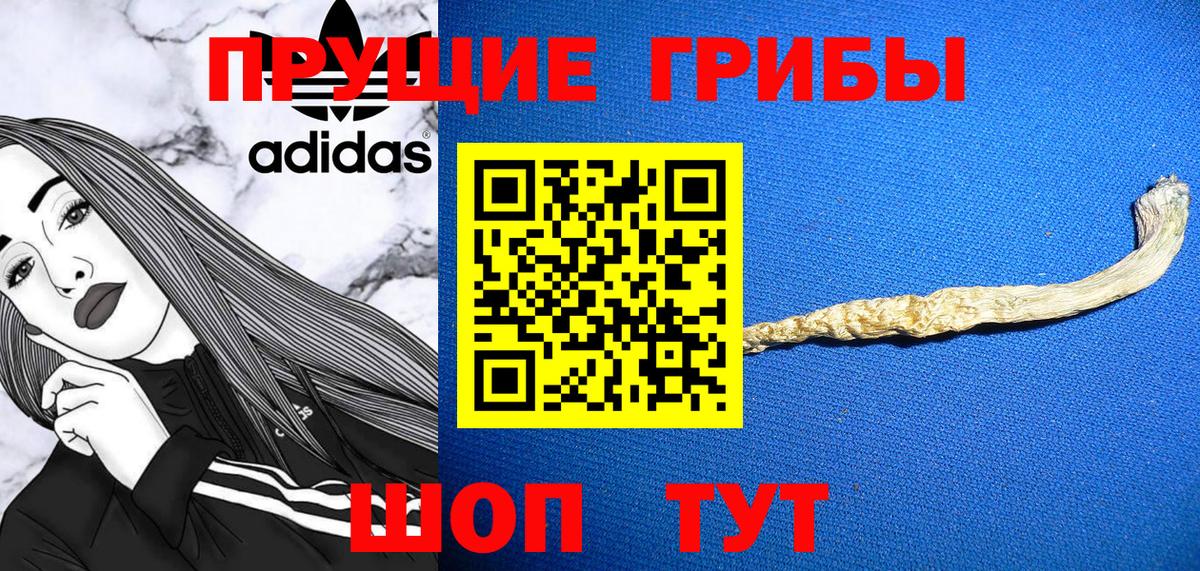 Псилоцибиновые грибы Cubensis Нягань